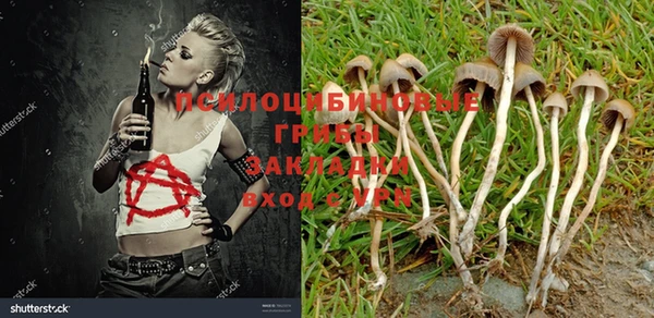 эйфоретик Балахна