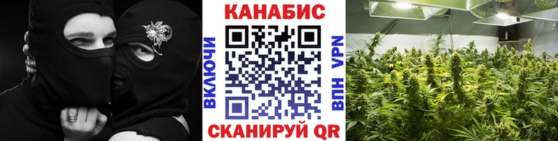 Бошки Шишки конопля  Нижняя Тура 
